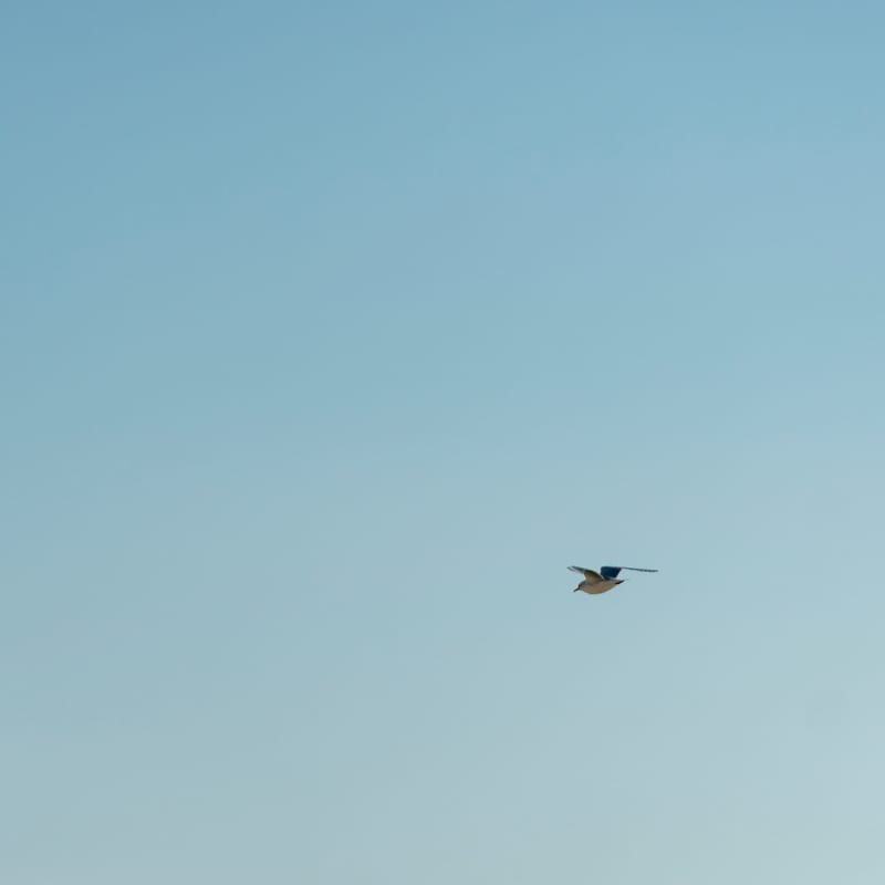 Fotografía de junio de 2025